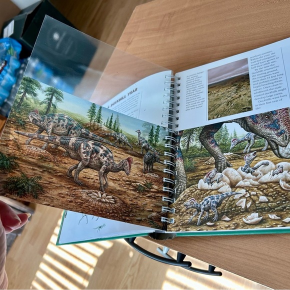 Time for Learning Dinosaurs book for Dino lovers great for beginners - Picture 7 of 10